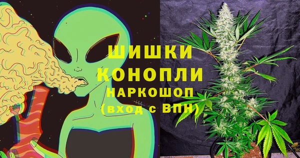 сатива Володарск