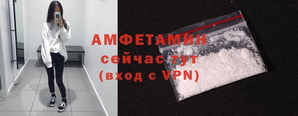 сатива Володарск