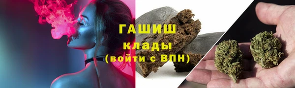 сатива Володарск