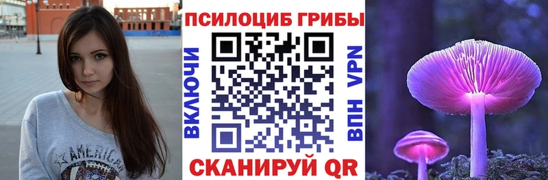 ссылка на мегу ссылка  сколько стоит  Муром  Псилоцибиновые грибы Psilocybine cubensis 